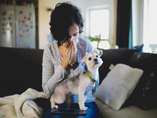 Woman holding a dog